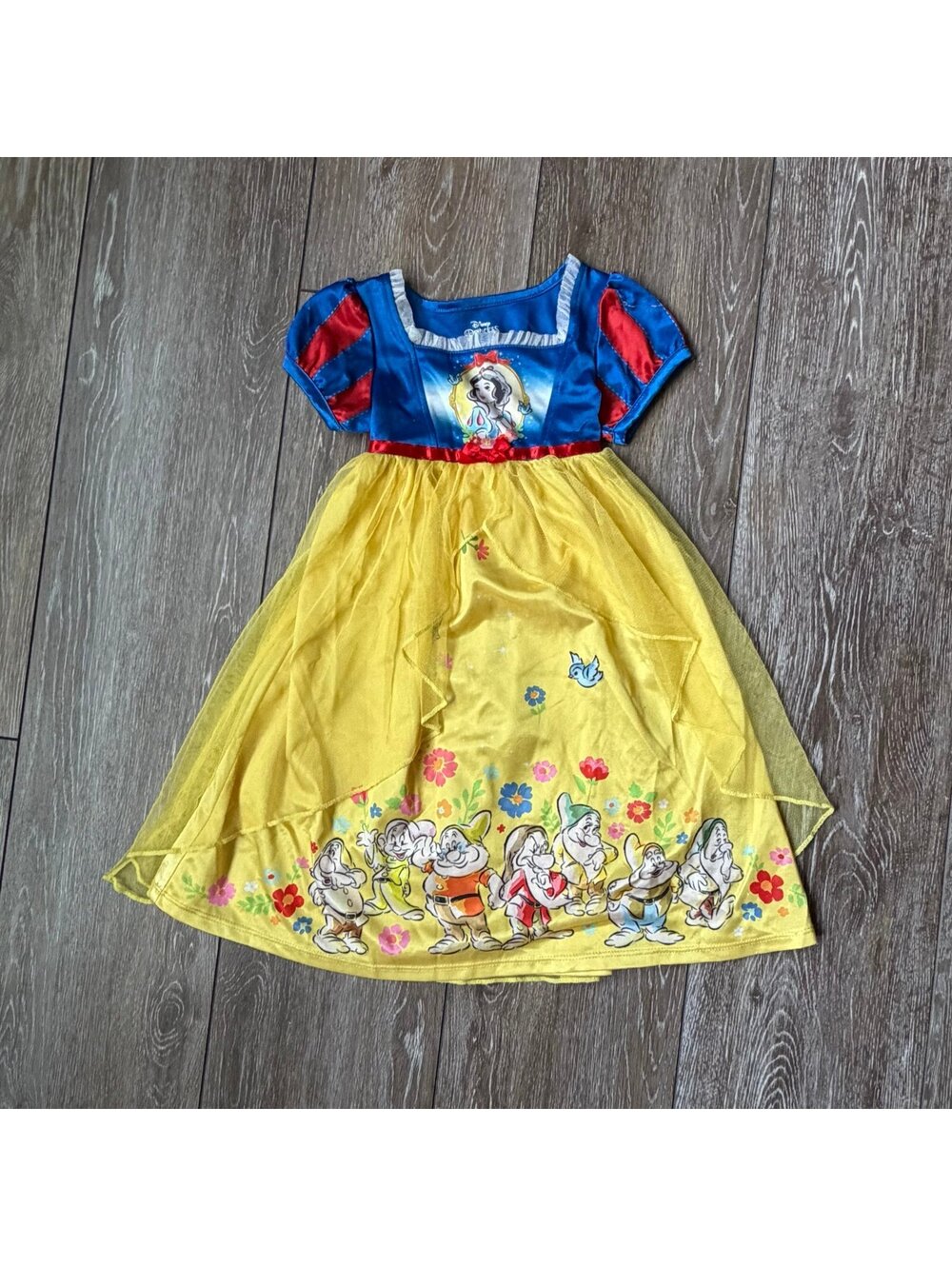 Snow White Disney Dress or Nightgown